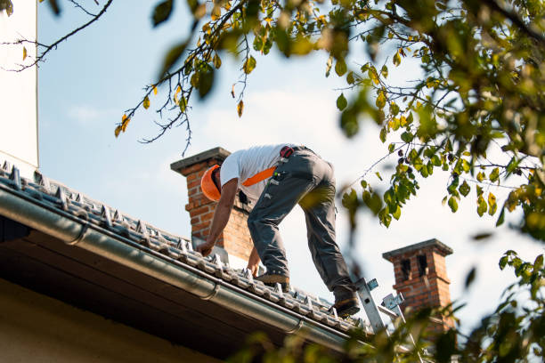 Best Roof Insulation Installation  in Germantown Hls, IL