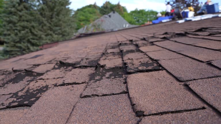 Best Storm Damage Roof Repair  in Germantown Hls, IL
