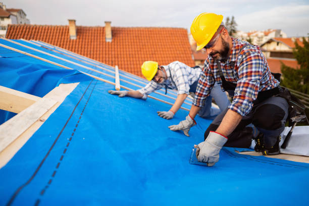 Best Metal Roofing Installation  in Germantown Hls, IL