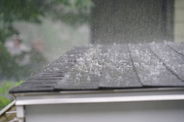 Best Rubber Roofing (EPDM, TPO)  in Germantown Hls, IL