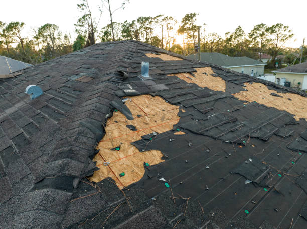 Best Roof Leak Repair  in Germantown Hls, IL
