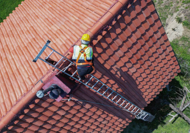 Best Asphalt Shingles Roofing  in Germantown Hls, IL