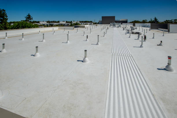 Best Roof Insulation Installation  in Germantown Hls, IL